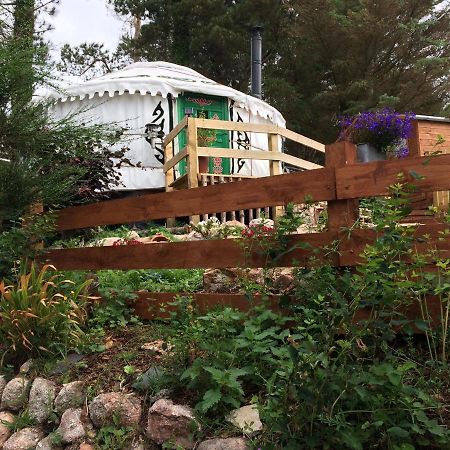 The Tall Pines Yurt Helmsdale Eksteriør billede