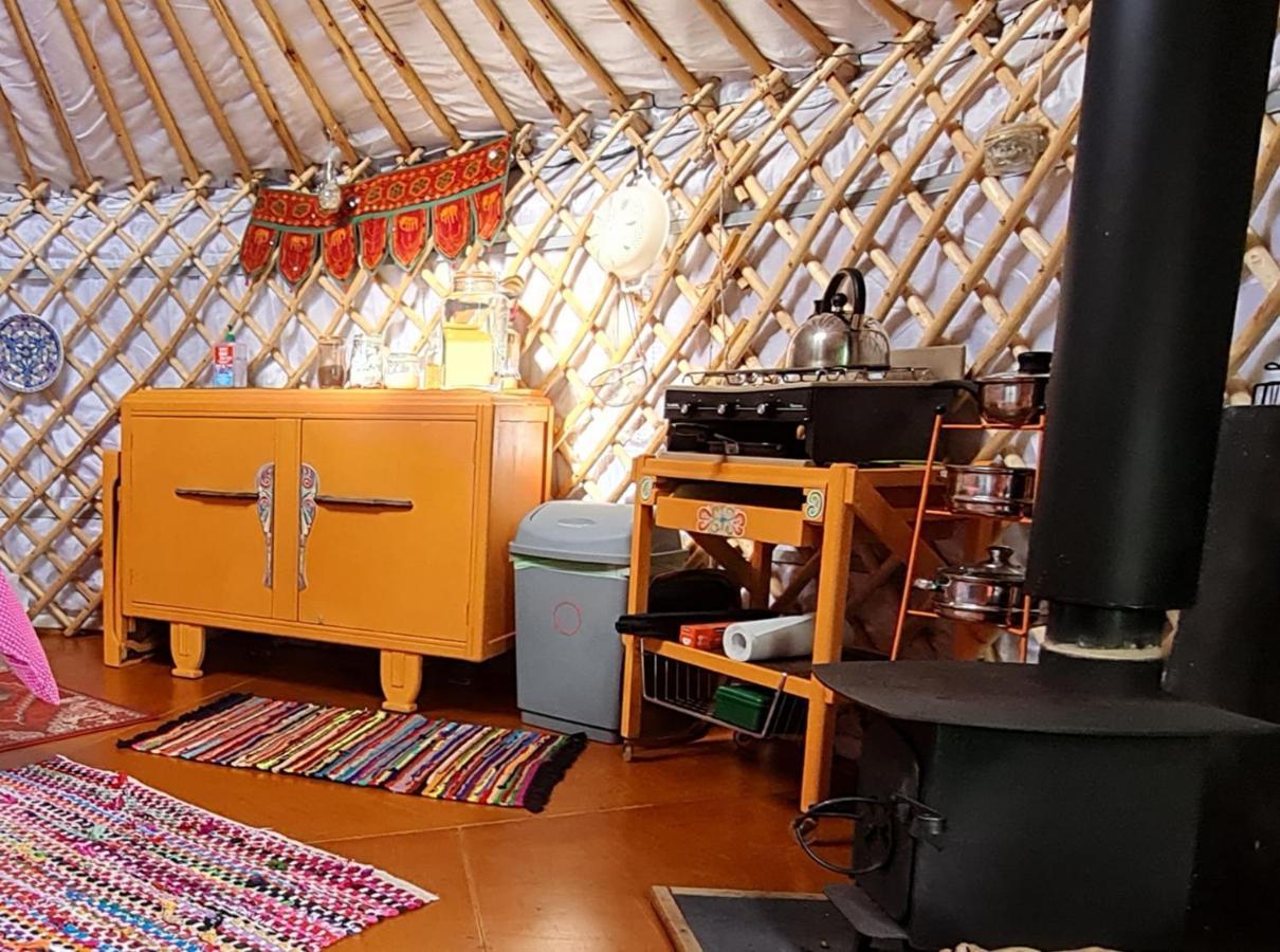 The Tall Pines Yurt Helmsdale Eksteriør billede