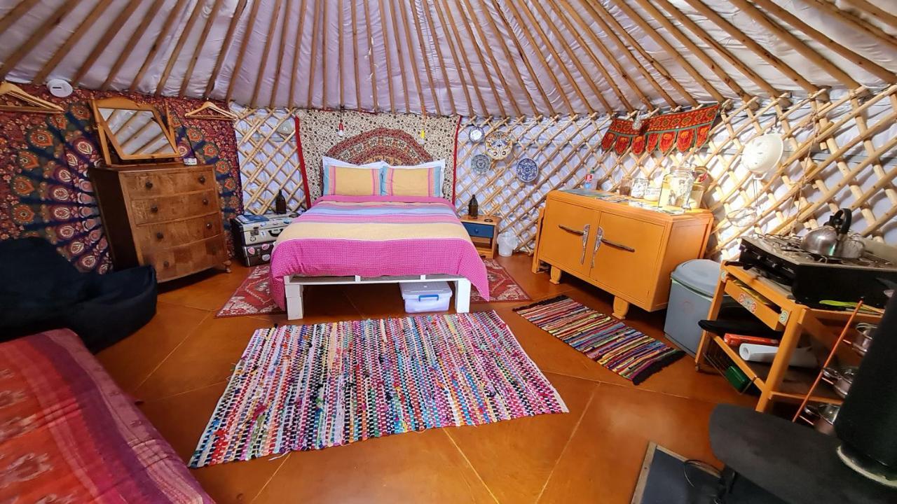 The Tall Pines Yurt Helmsdale Eksteriør billede