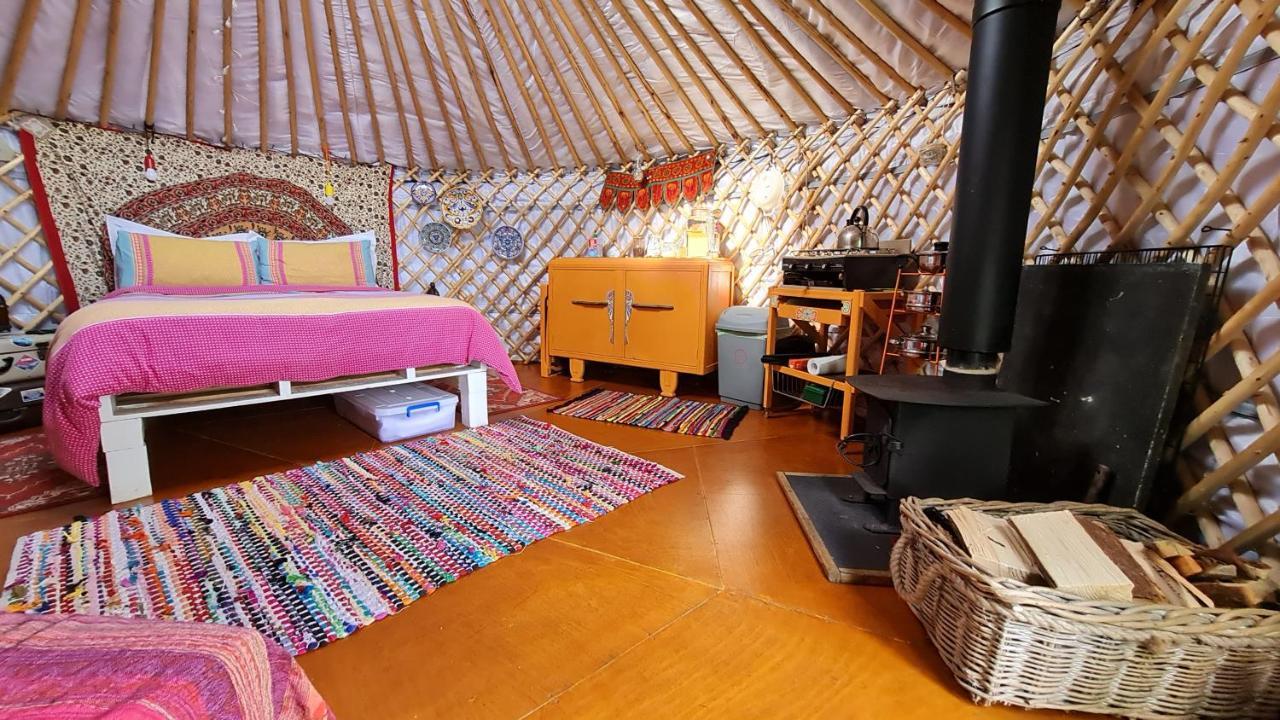 The Tall Pines Yurt Helmsdale Eksteriør billede