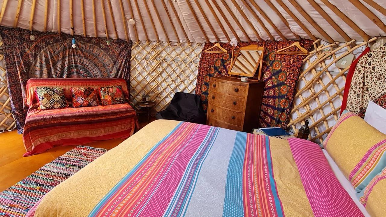 The Tall Pines Yurt Helmsdale Eksteriør billede