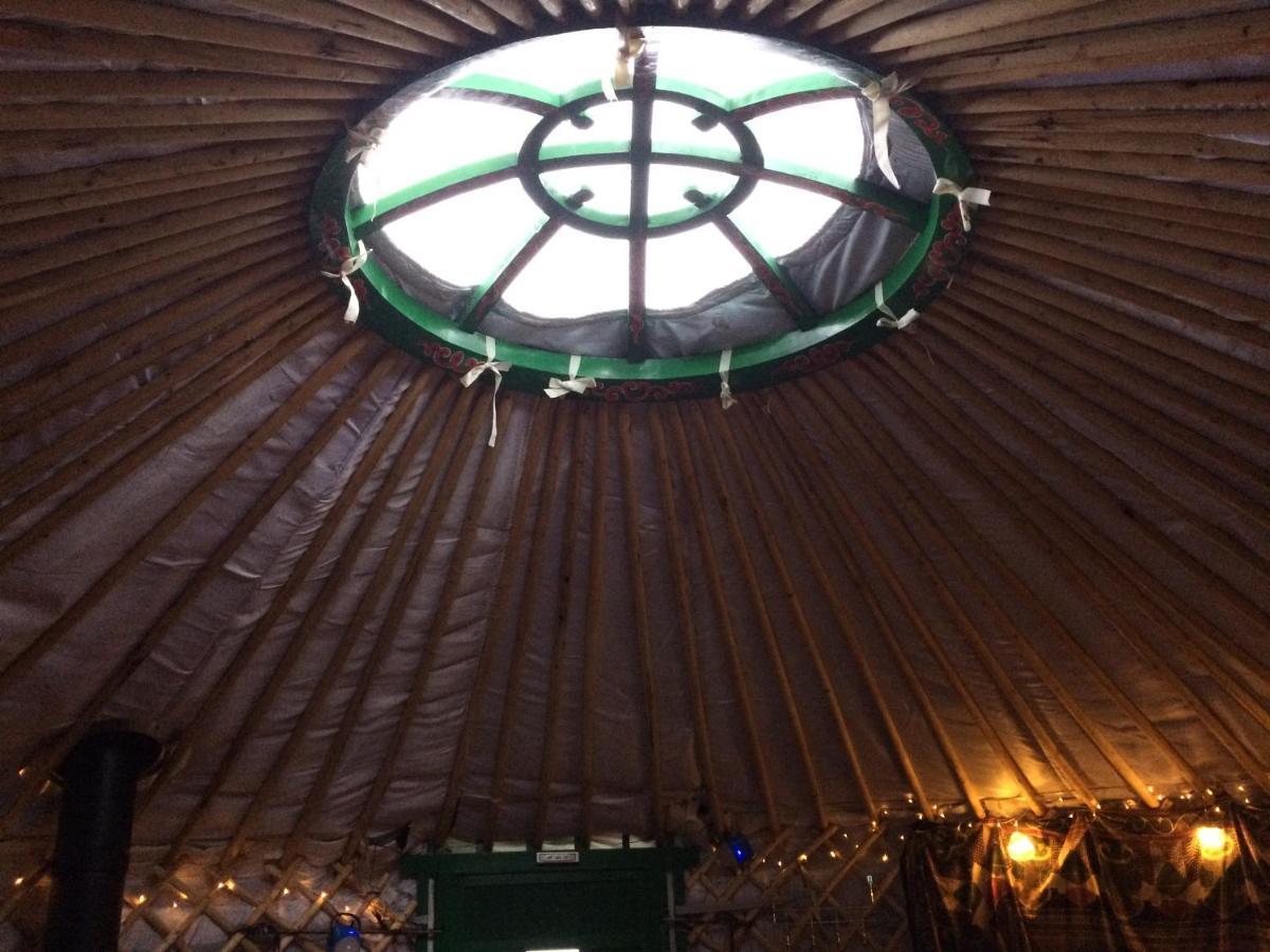 The Tall Pines Yurt Helmsdale Eksteriør billede