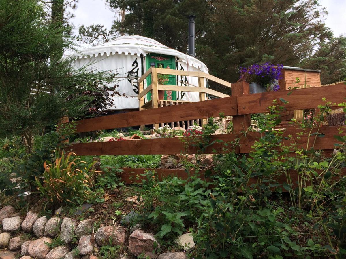 The Tall Pines Yurt Helmsdale Eksteriør billede